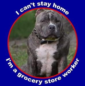 Meet your Posher, Debra